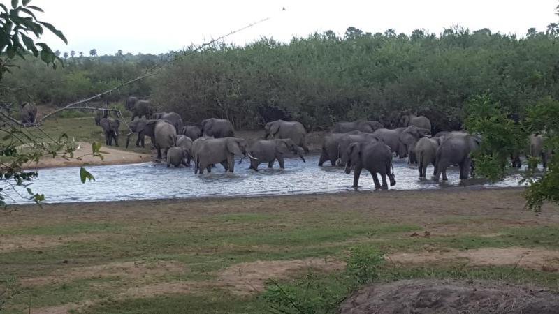 Africa Safari Camp Hotel Mloka Ngoại thất bức ảnh