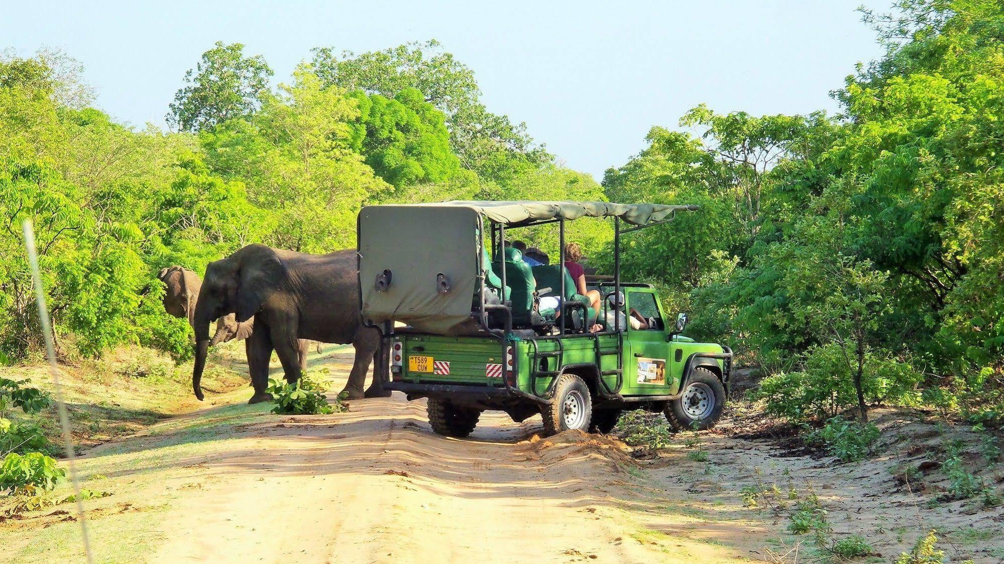 Africa Safari Camp Hotel Mloka Ngoại thất bức ảnh